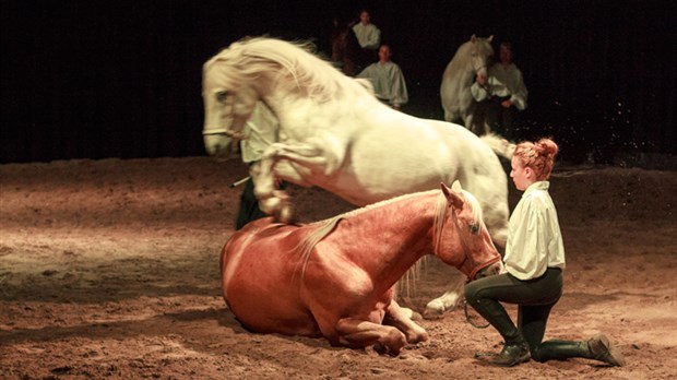 Le spectacle Spécial H du Théâtre équestre Innocenti revient pour trois jours seulement! 