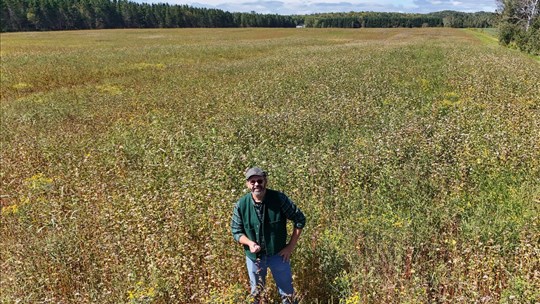 Un projet de parc éolien privé divise la population en Mauricie