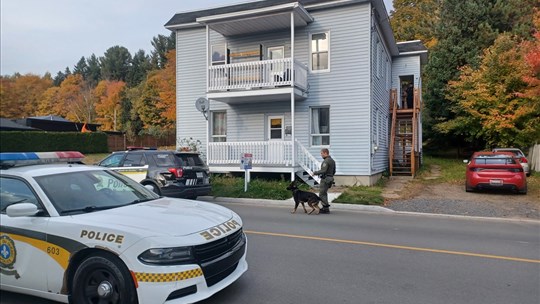 Deux arrestations pour trafic de stupéfiants dans le secteur de Grand-Mère