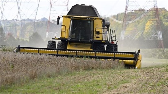 D'immenses superficies de terres agricoles sont abandonnées au profit des forêts