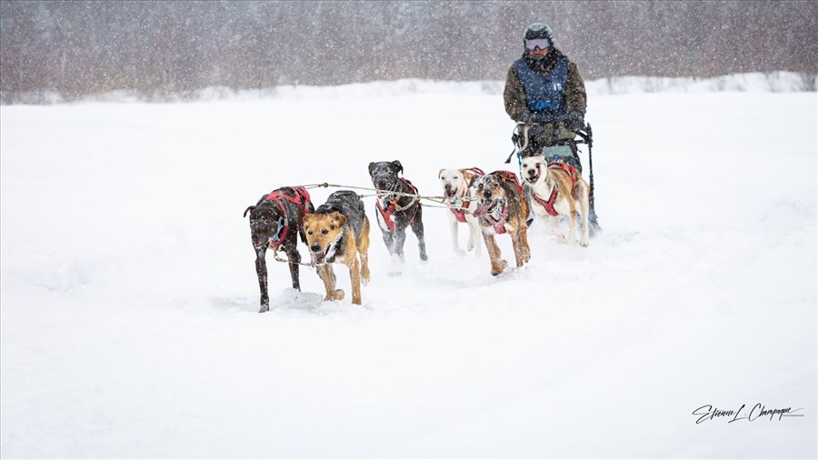 Le Défi Mauricie revient pour une 18e année cette fin de semaine 